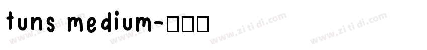 tuns medium字体转换